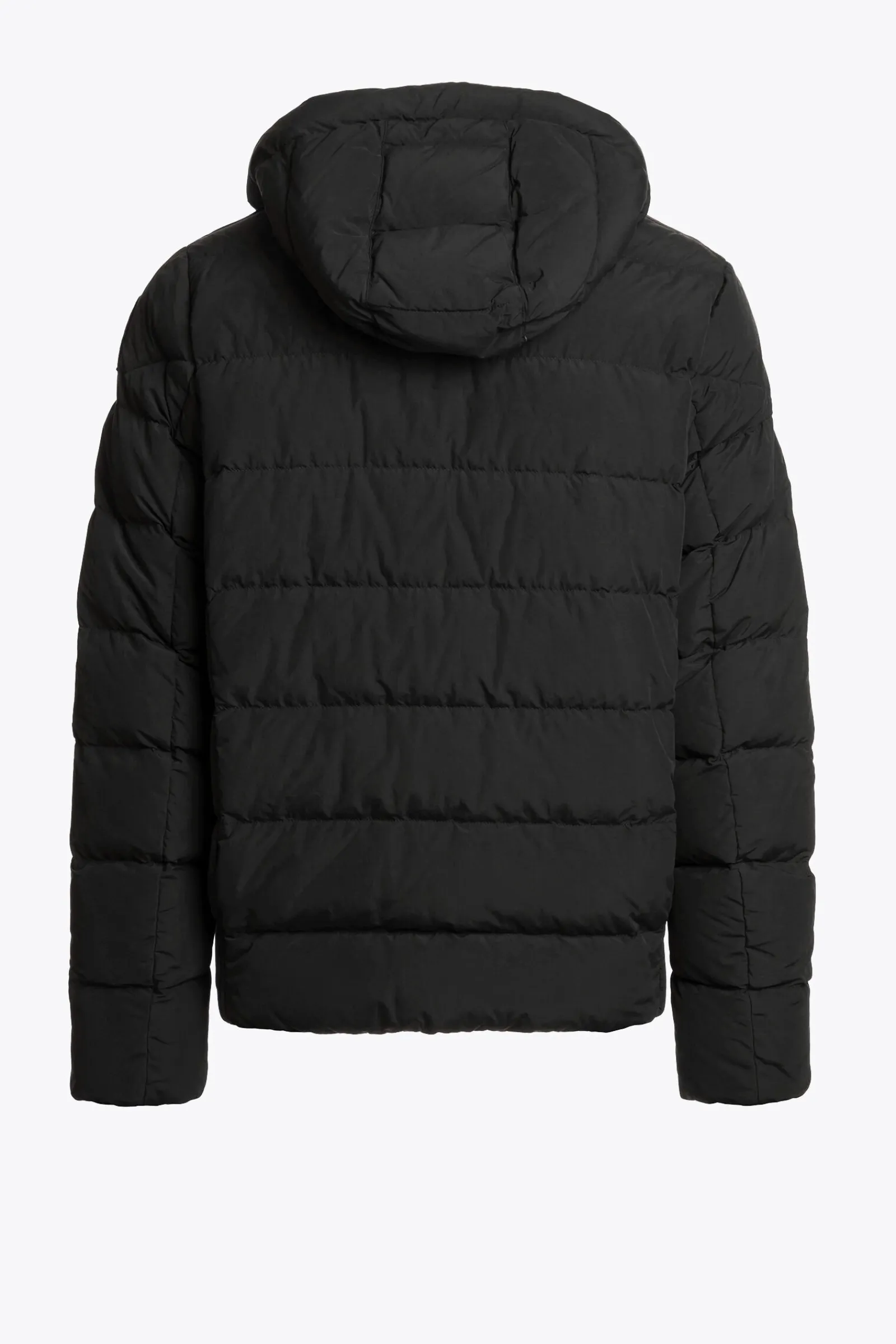 Parajumpers Donsjassen-CASSIAN - DONSJACK MET CAPUCHON BLACK
