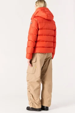 Parajumpers Donsjassen-JINNY - KORT DONSJACK SUN KISSED