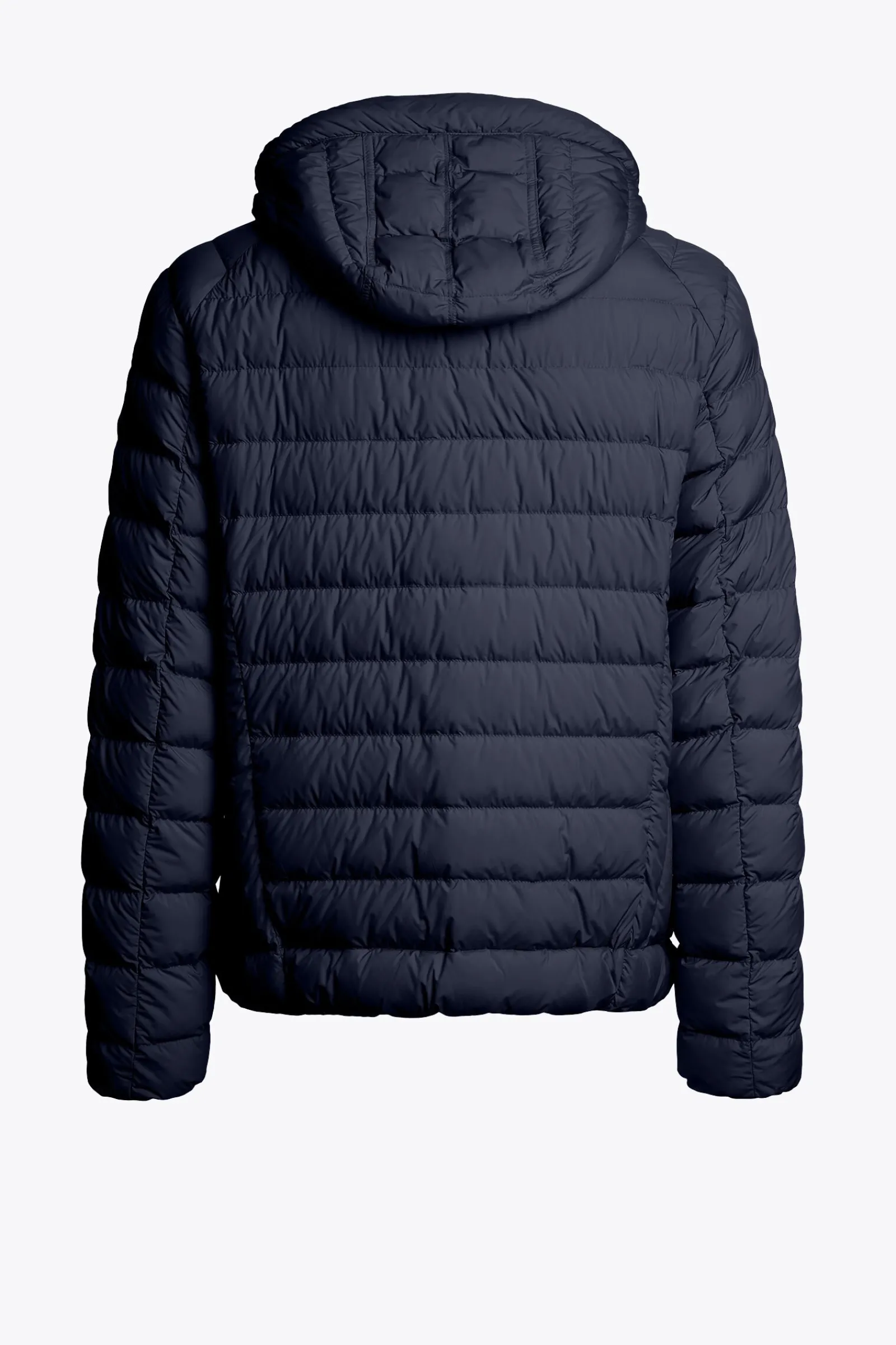 Parajumpers Donsjassen-LAST MINUTE - DONSJACK MET CAPUCHON BLUE NAVY