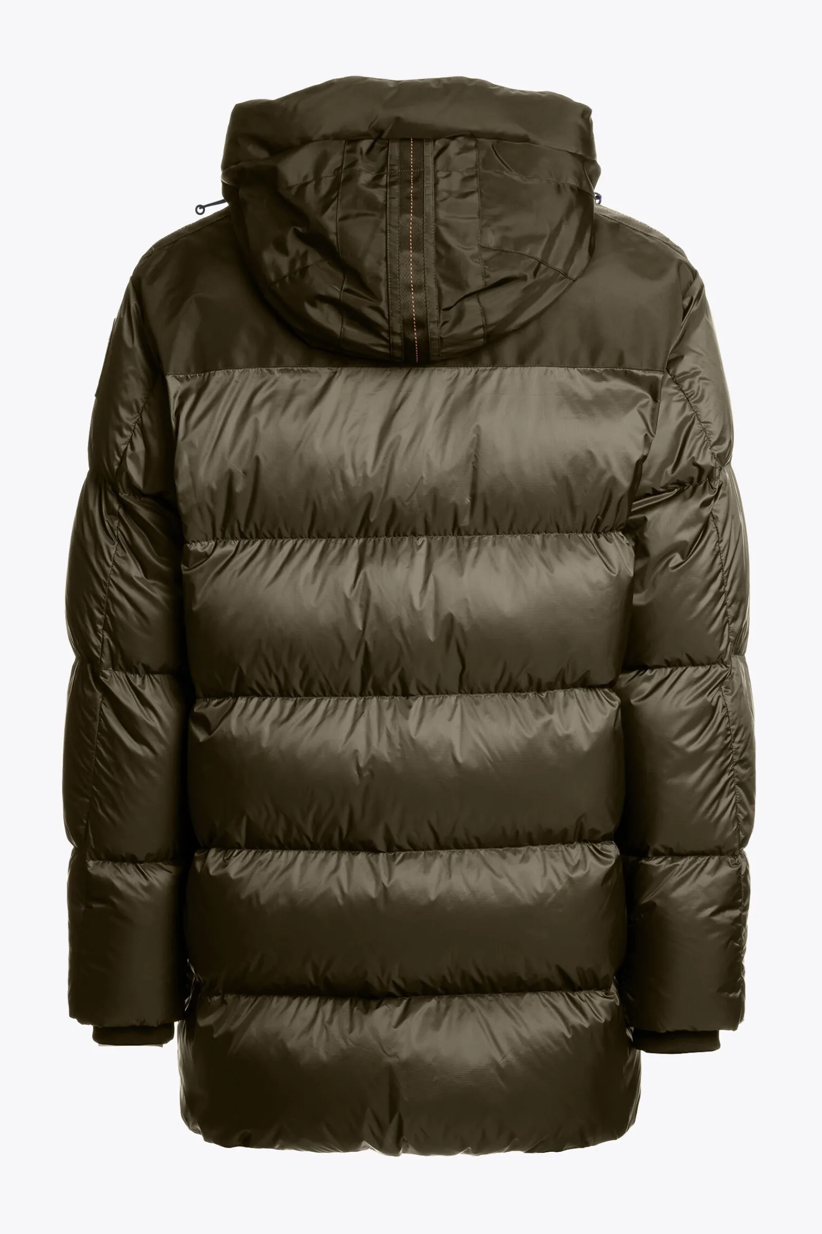 Parajumpers Donsjassen|Jasjes-SHEDIR - PARKA MET CAPUCHON OLIVE GREY